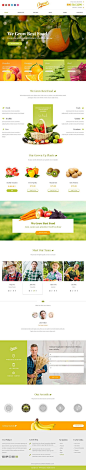Organic is a bright and eye catching design for agriculture topic. This PSD theme can be used for small #farm #website, organic food store or market.
