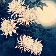 Mcayeiol采集到昙花一现只为韦陀