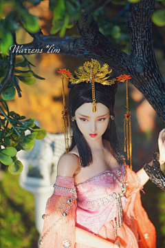 Ivanessa采集到BJD-东风古风-女-系列1