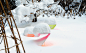 设置在日本札幌市的一个花园中，涩谷俊彦（Toshihiko Shibuya）的“雪托盘9”由占据整个雪景的不同形状的铁件组成。他们的底面涂上荧光和艳丽的色彩,然后投射到雪的表面产生多彩的渲染。直到2017年3月，这个作品会一直接受自然、时间以及光线的转换，展现一个变性的结果。艺术家声称他已经并且会继续创作以引起他们立足区域共鸣为目标的艺术作品。