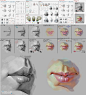 Artstation - 面部特征眼睛 , 嘴唇 , 鼻子绘画教程-CG教程-微元素 - Element3ds.com!