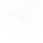 蜘蛛网蜘蛛丝恐怖元素免抠透明背景PNG万圣美易后期合成PS素材图 (4)