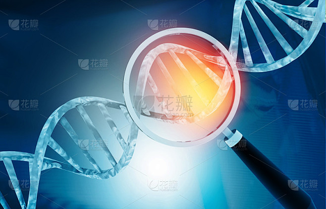 DNA链与放大镜。基因研究的概念