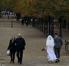 人间忽晚*采集到图片