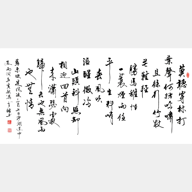 苏轼定风波莫听穿林打叶声书法作品 定风波书法作品欣赏_冯雪林书法网-花瓣网