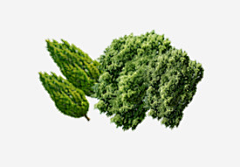 可爱的反派少女采集到素材