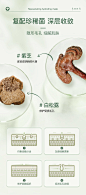 灵芝 白松露 皿 成分 皮肤组织 收毛孔
