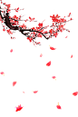 ecceb27fb7e5fe7e5ed5bc0e0e568a6af13a3fcf3a763-8jq4Ta_fw1200