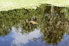 没错