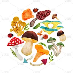 森林蘑菇，手绘矢量水彩插图