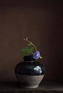 无用的僧人采集到花艺-中式