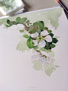 陌若-安生采集到插画•花朵