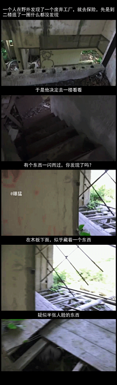 我嘞个㲈刚采集到999