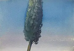 赞过的微博 微博-随时随地发现新鲜事