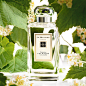 香氛混搭主义 | Jo Malone London祖玛珑官方网站