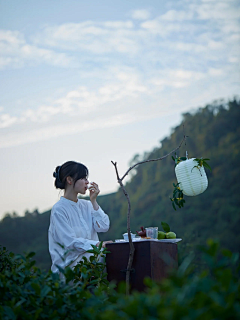 樾樾樾樾采集到茶/禅