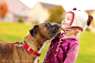 Photograph Puppy Kisses by Julie Saraceno on 500px