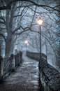 Foggy Walkway ~ Chester, England