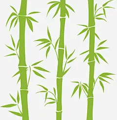手绘绿色竹子_新图网ixintu.com