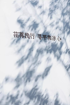 fansime采集到W-文字