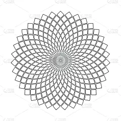 设计元素,几何形状,式样,抽象,圆形,华丽的,横截面,贺卡,对称,背景分离