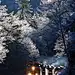 RailPictures.Net Photo: BNSF 5520 BNSF Railway GE C44-9W (Dash 9-44CW) at Skykomish, Washington by Joel Hawthorn