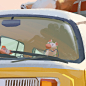 Beach Van, Lynn Chen : Sunday doodle