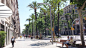 Diagonal Avenue Barcelona A Walk on the Wild Side