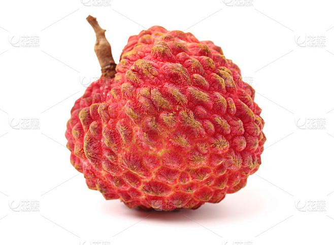 鲜荔枝(Litchi chinensis)