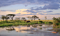Christophe Paquignon在 500px 上的照片Wild Tanzania
