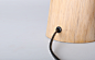 Liu Qi's inspiration comes from the bionics design of platypus. With adjustable light, it is functional as well as funny. Download PLATYPUS lamp and make it!