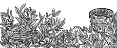 十五-采集到茶