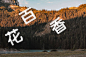 登录 - 支付宝