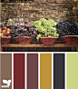 market palette