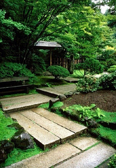 小邱同学采集到庭院