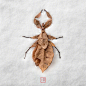 日本艺术家 Raku Inoue (井上罗来) 用不同的植物叶片或根茎制作的昆虫（动物）作品 | reikancreations.com ​​​