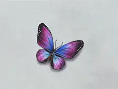 超写实、手绘、插画、彩铅、课程、教程、水溶性彩铅、零基础自学、资料、视频、图片、绘画、艺术、美术、简笔画、彩色简笔画入门、水彩、教学、彩铅画、成人美术、在线教育、少儿、施德楼、艺雅、辉柏嘉、纸、笔、电动橡皮擦、高光笔、铅笔、素描、又画、刀、绘本、书籍、橡皮擦