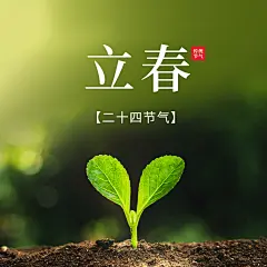 立春祝福春天实景方形海报