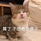 傻子