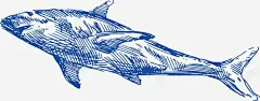 手绘鲸鱼矢量图 元素 免抠png 设计图片 免费下载 页面网页 平面电商 创意素材