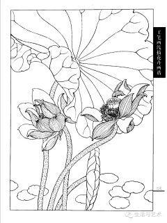 晓呆羊采集到画-白描-速写-缠绕画