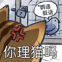 表情包｜哇！色禽鸟表情包大放送#太鸟不起了_腾讯新闻