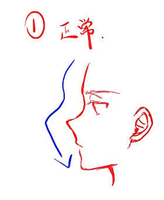 猫咪如是说采集到脸型