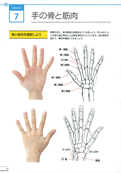 纆翎采集到人体教程-手