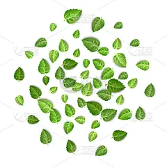 flying green leaves on white background spring
