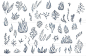 130个海洋生物鱼虾蟹海豹鲸鱼海马海藻简笔画AI海报设计矢量素材-淘宝网