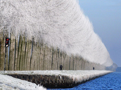 洫脃汐陽采集到雪景