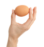 手捏鸡蛋