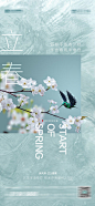 立春节气海报-源文件