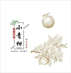 小青柑 矢量素材 烫金 线描  - 源文件下载【酷图网】小青柑,矢量素材,烫金,线描,可填充,